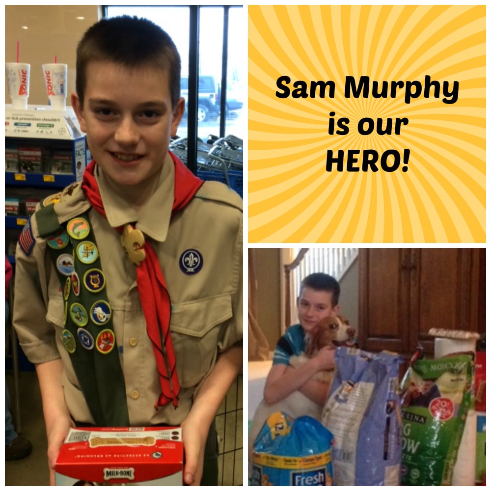 Sam Murphy's Donation Drive for Heart of America Humane Society